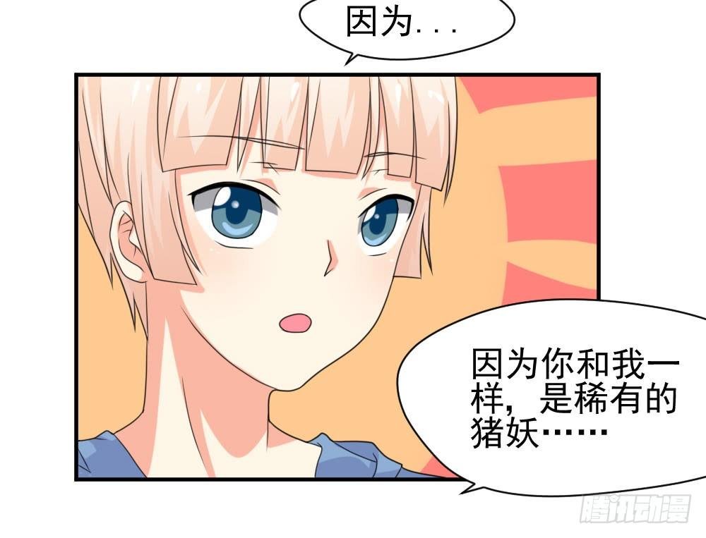 胡媚
