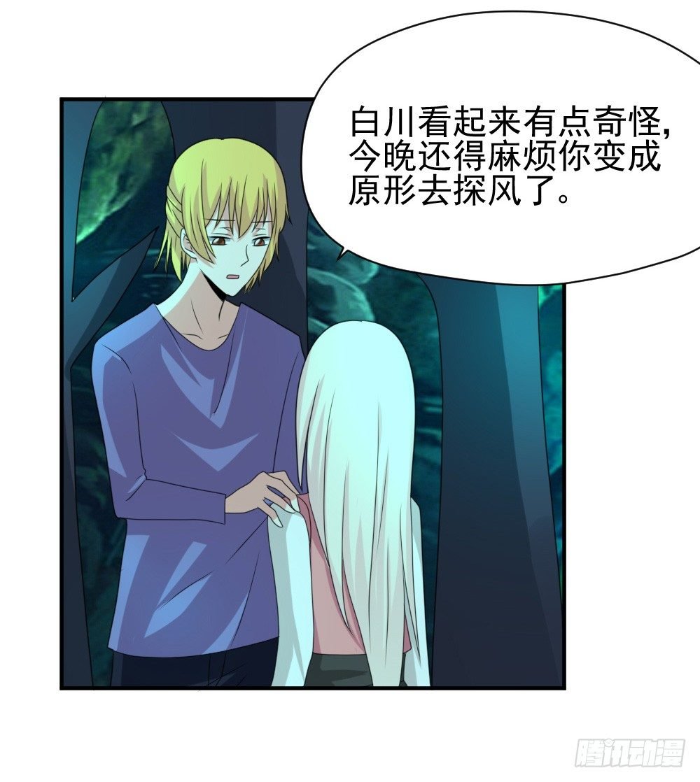 大王的宠物
