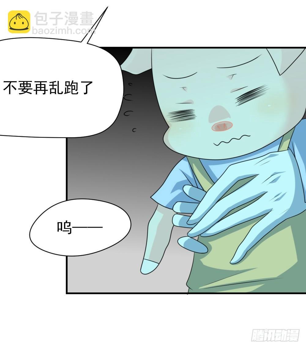 大王的宠物