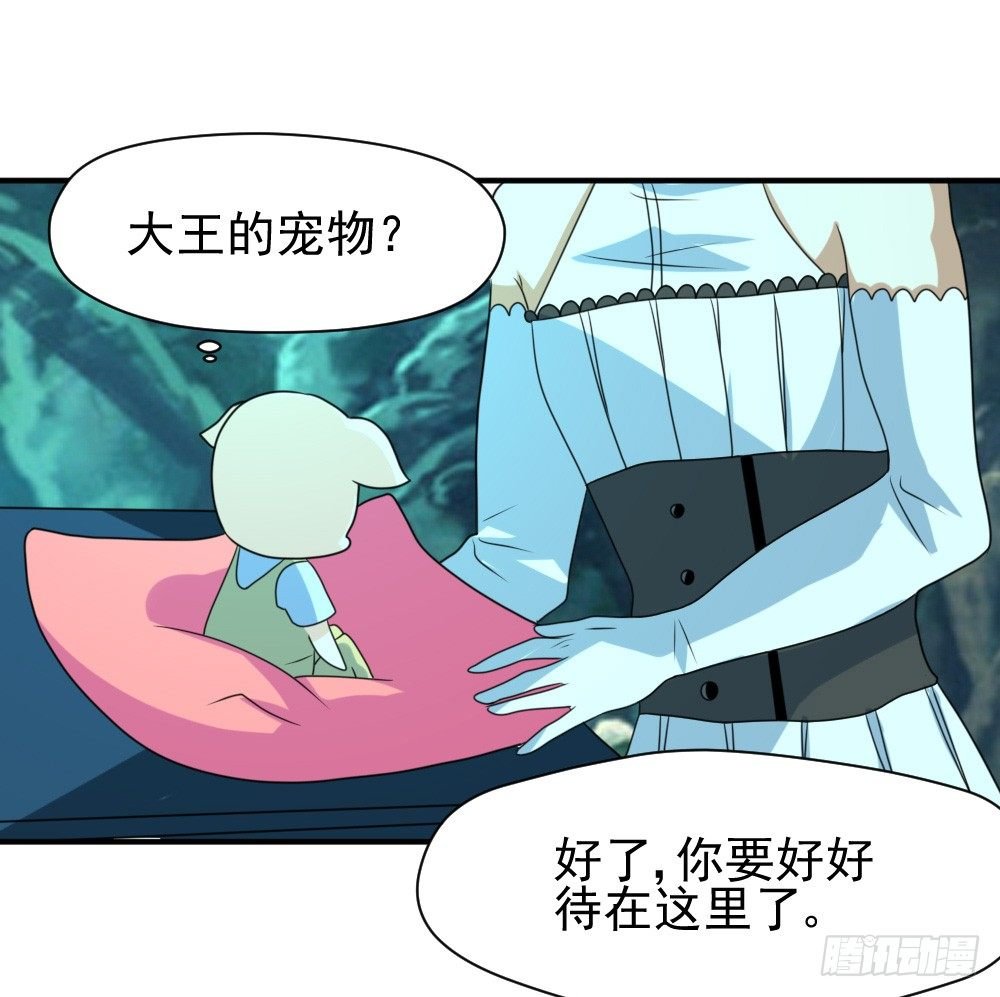 大王的宠物