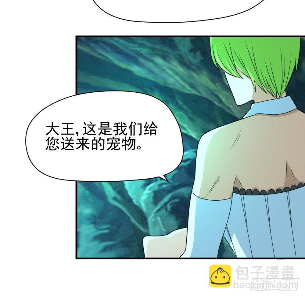 大王的宠物