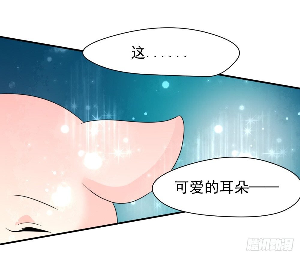 大王的宠物