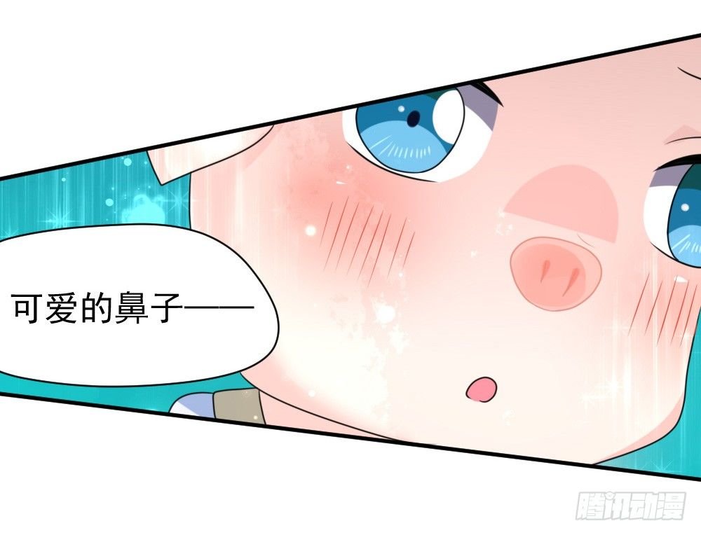 大王的宠物
