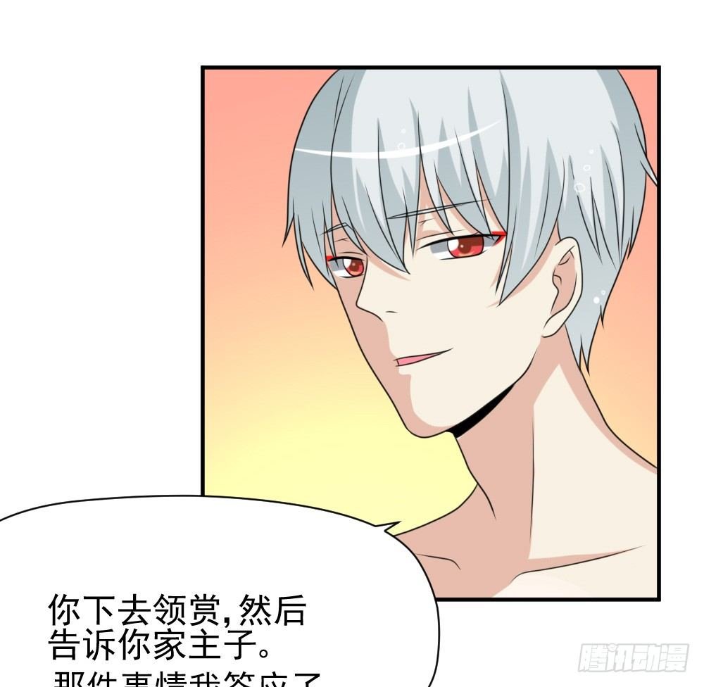 大王的宠物
