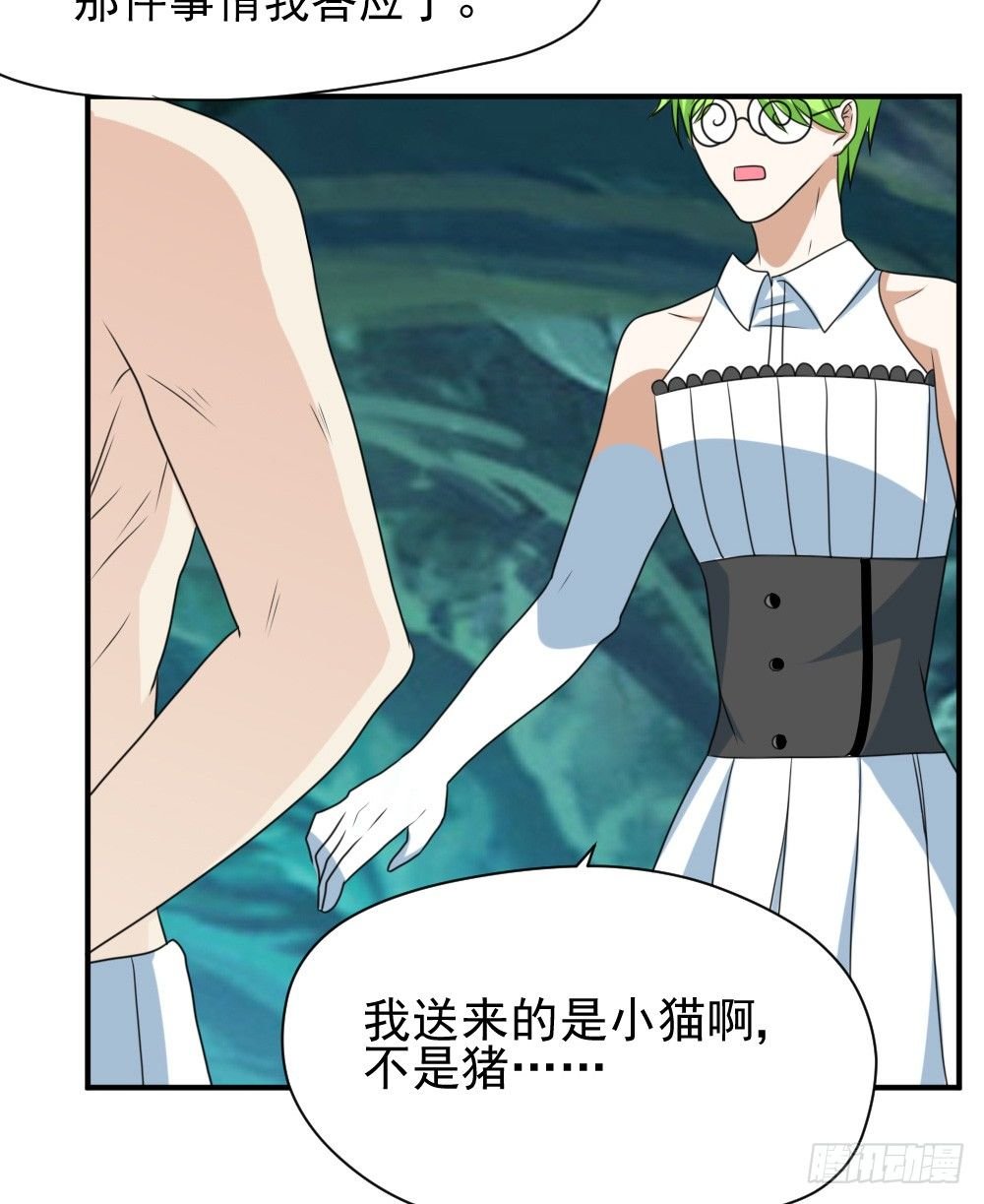 大王的宠物