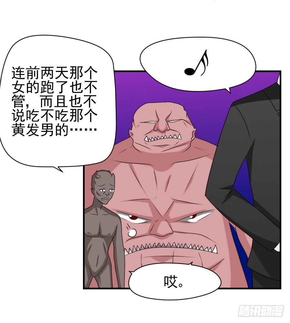 宠猪狂魔