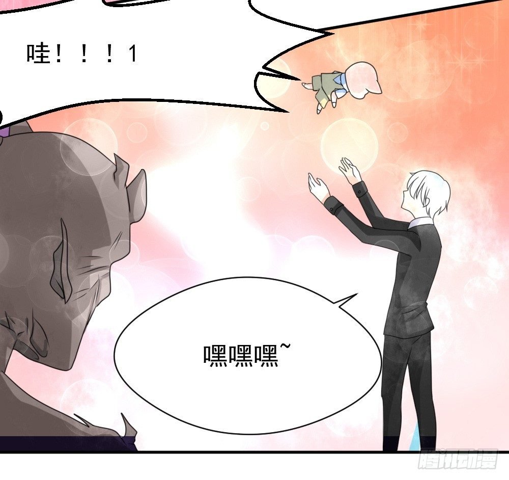 宠猪狂魔