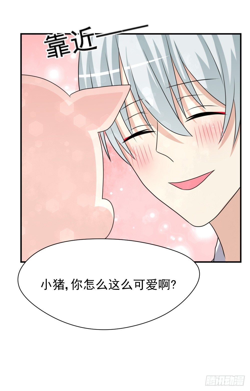 宠猪狂魔