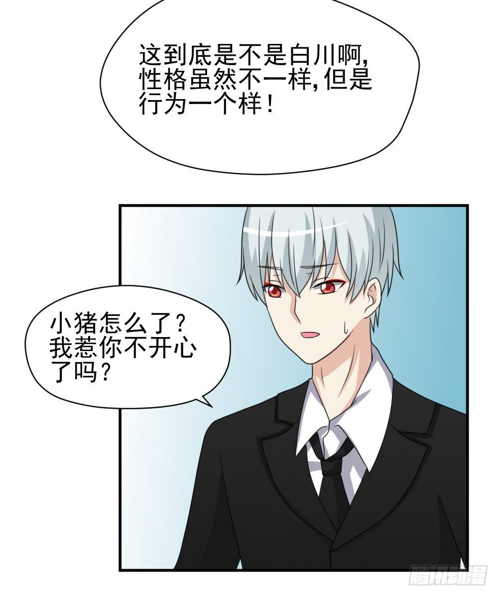 宠猪狂魔
