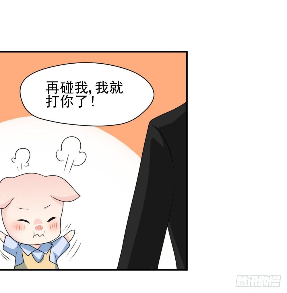 宠猪狂魔