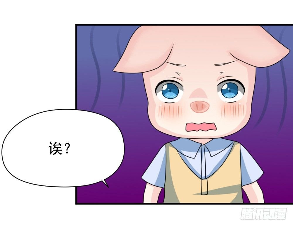 宠猪狂魔
