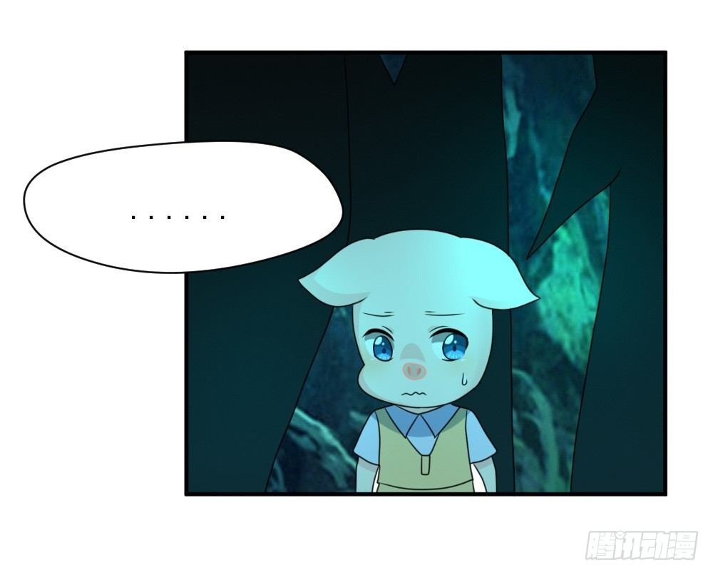 宠猪狂魔