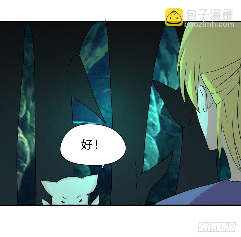 宠猪狂魔