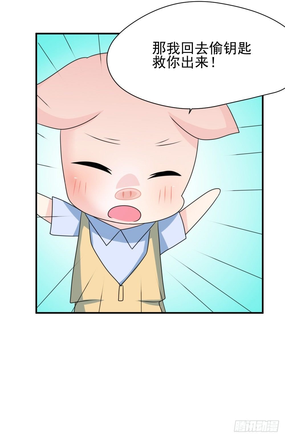 宠猪狂魔