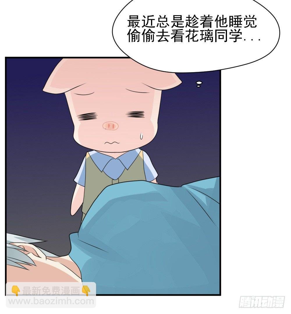 宠猪狂魔