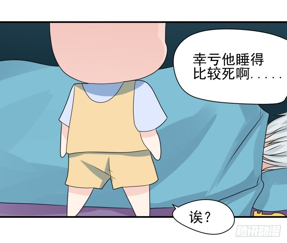 宠猪狂魔