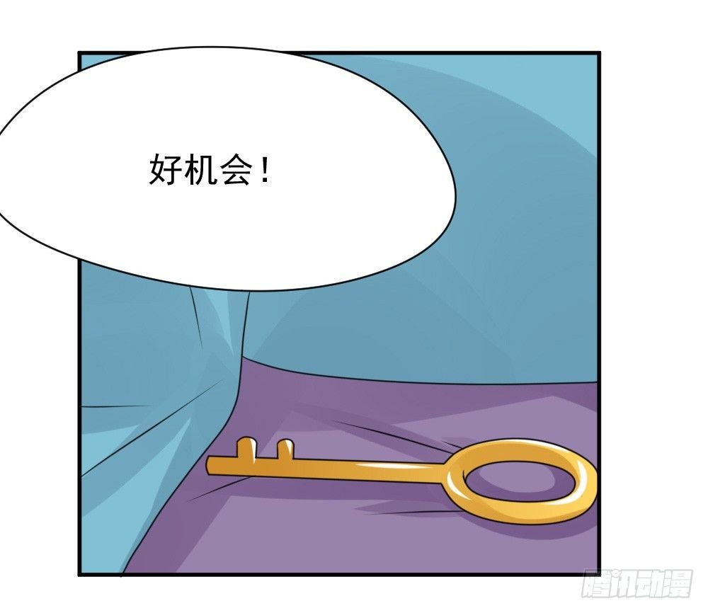 宠猪狂魔