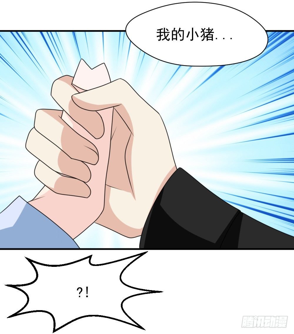 宠猪狂魔