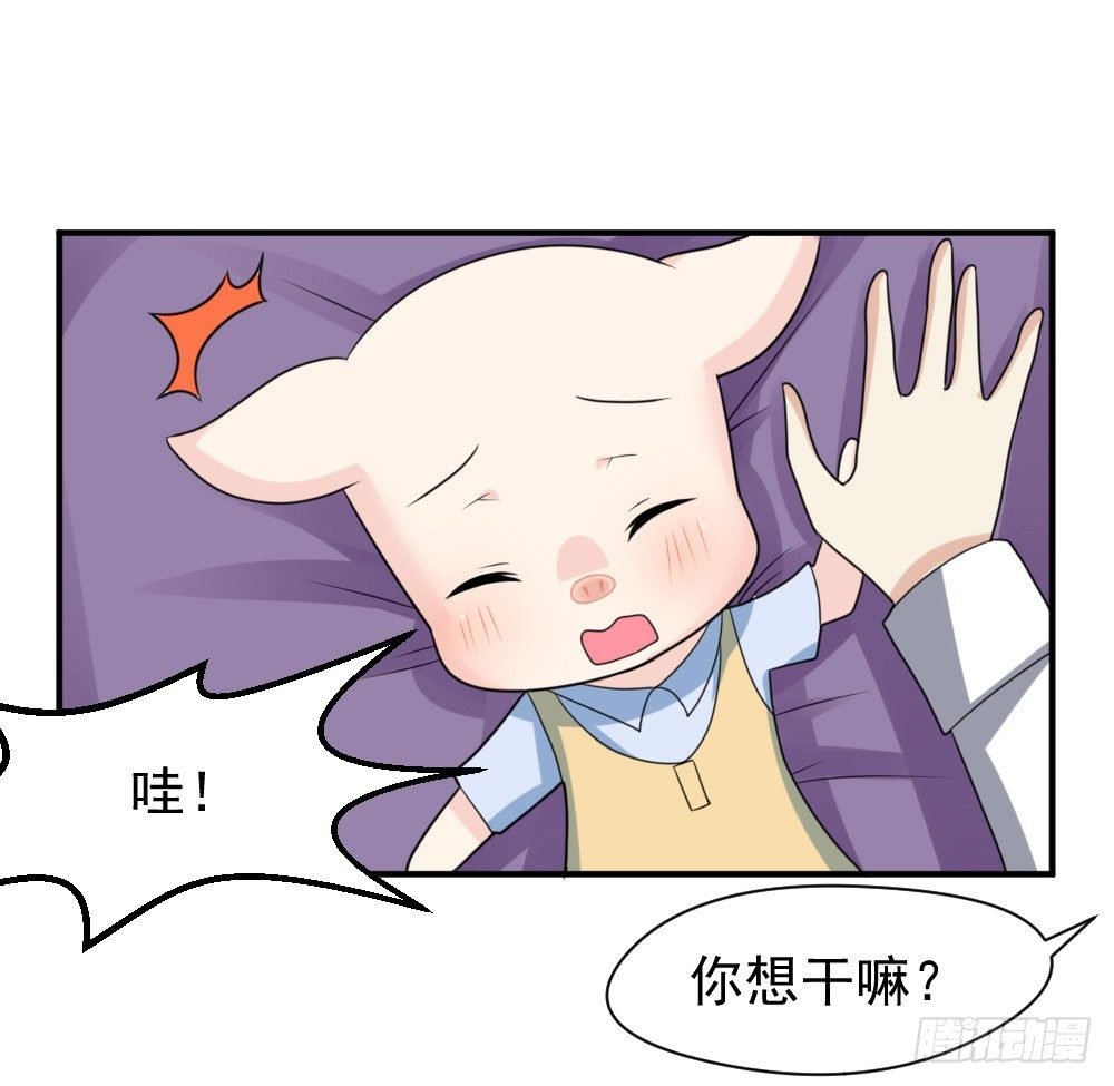 宠猪狂魔