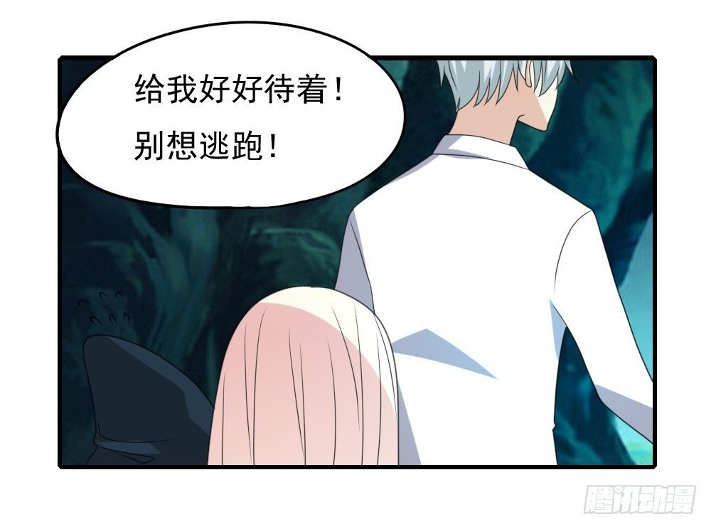 红毛团子