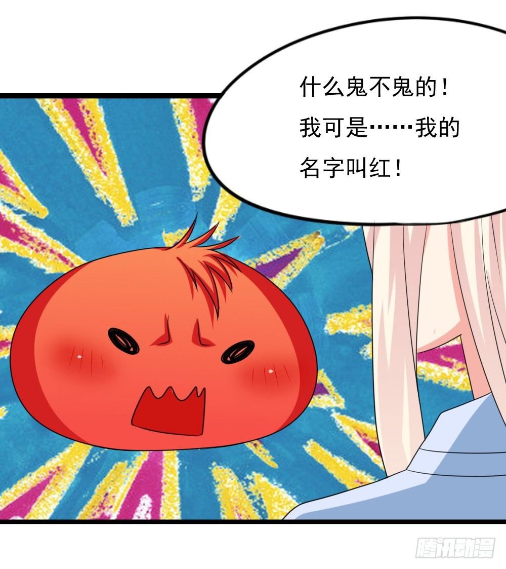 红毛团子