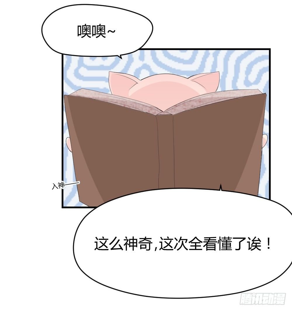 猪猪学法术