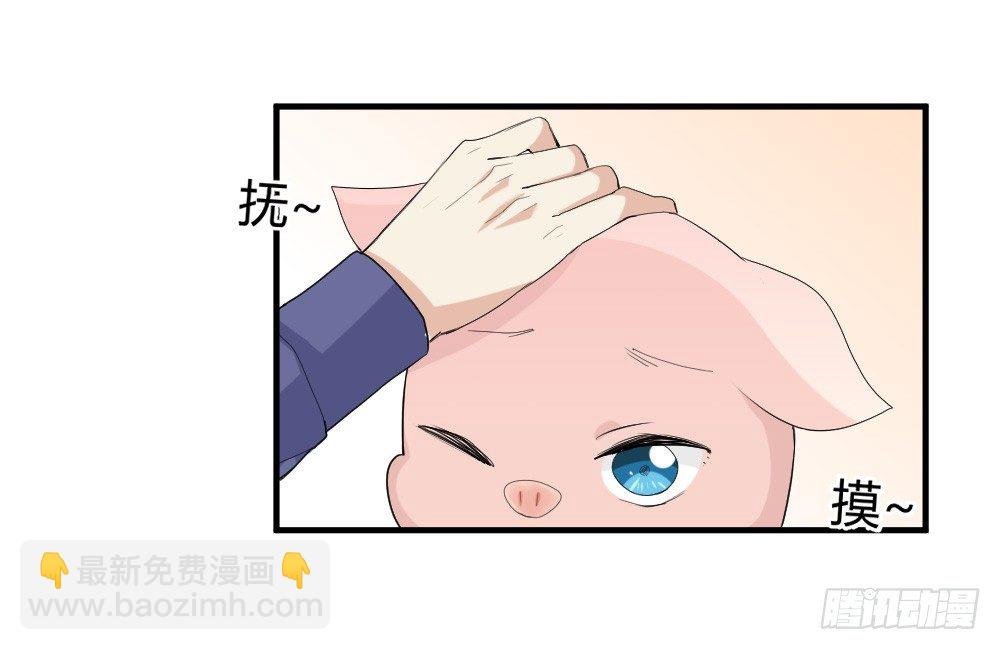 猪猪学法术