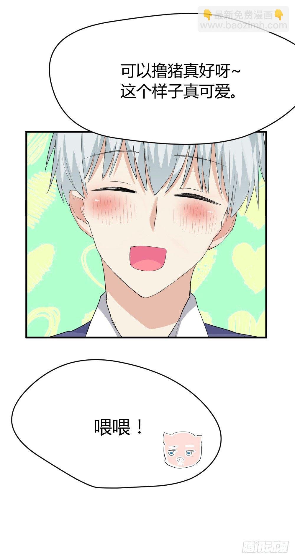 猪猪学法术