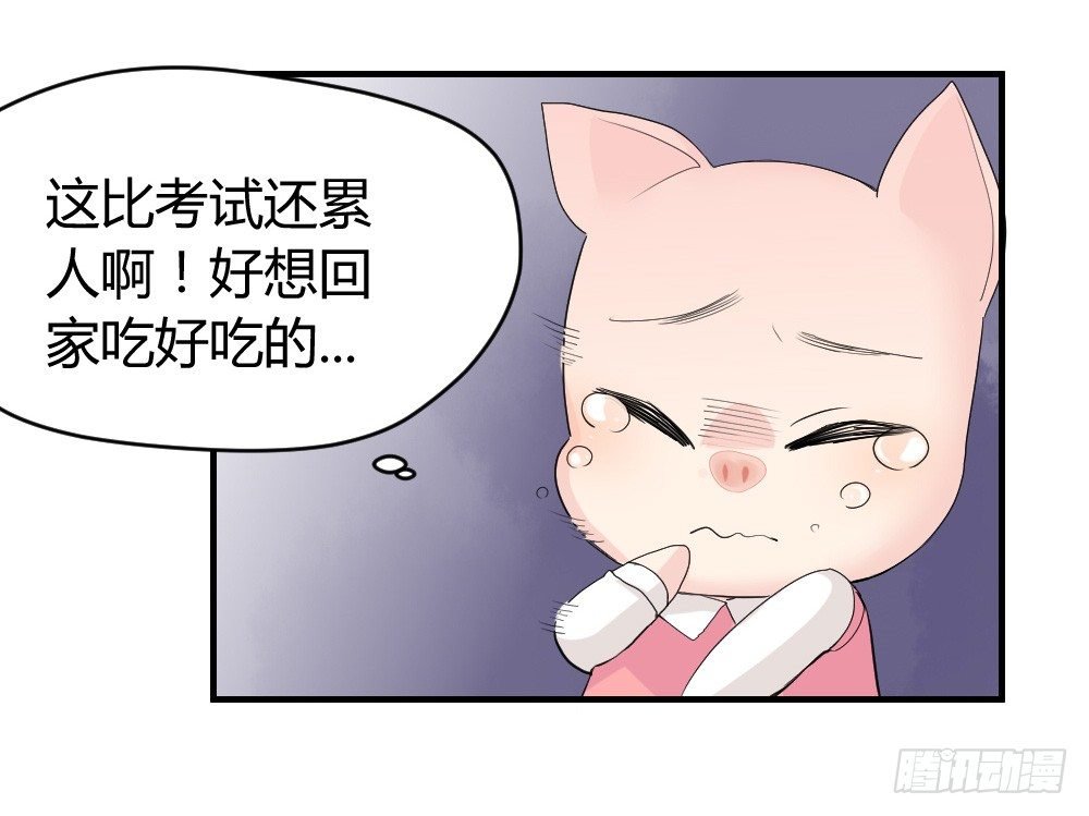 猪猪学法术