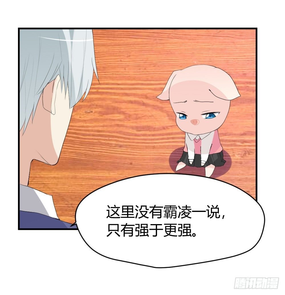猪猪学法术