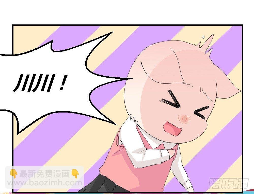 猪猪学法术