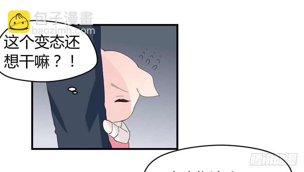 猪猪学法术