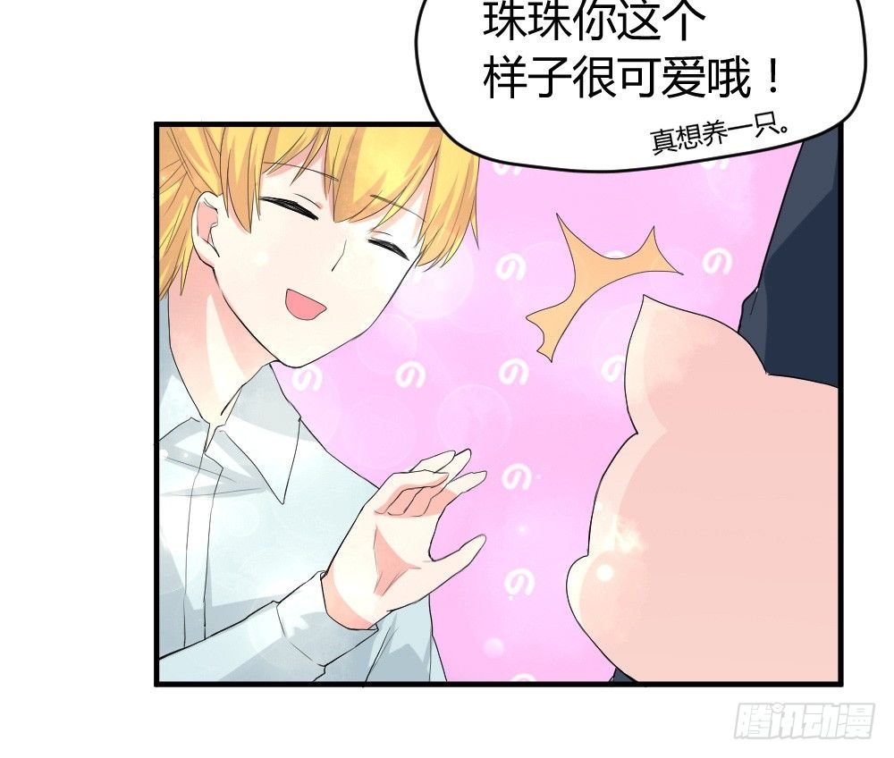 猪猪学法术