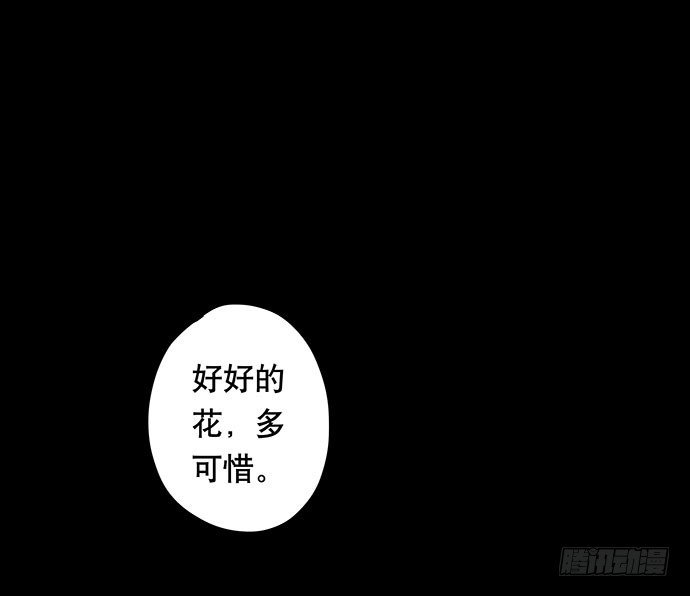 花-1
