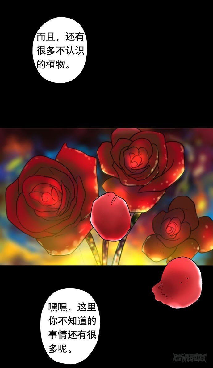 花-1