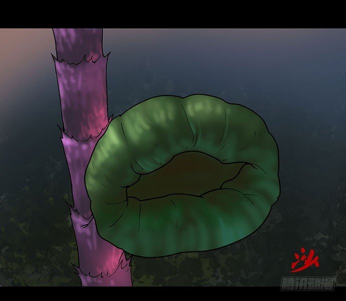 花-2