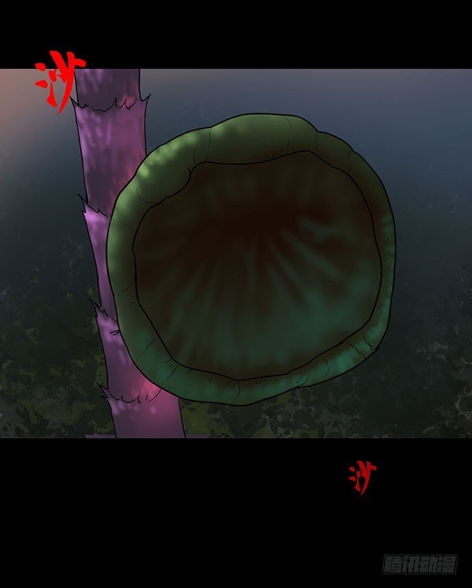 花-2