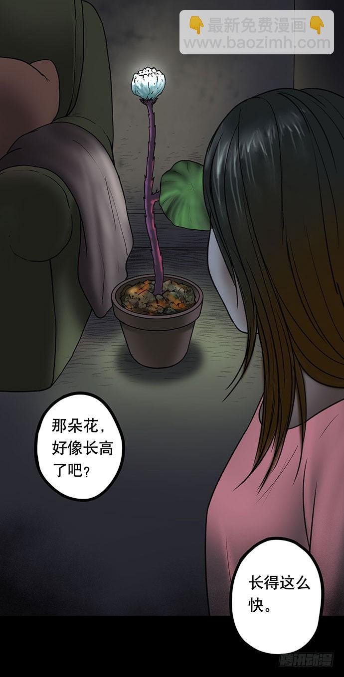 花-2