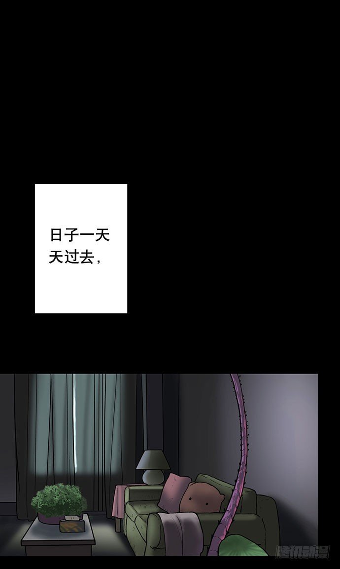 花-3