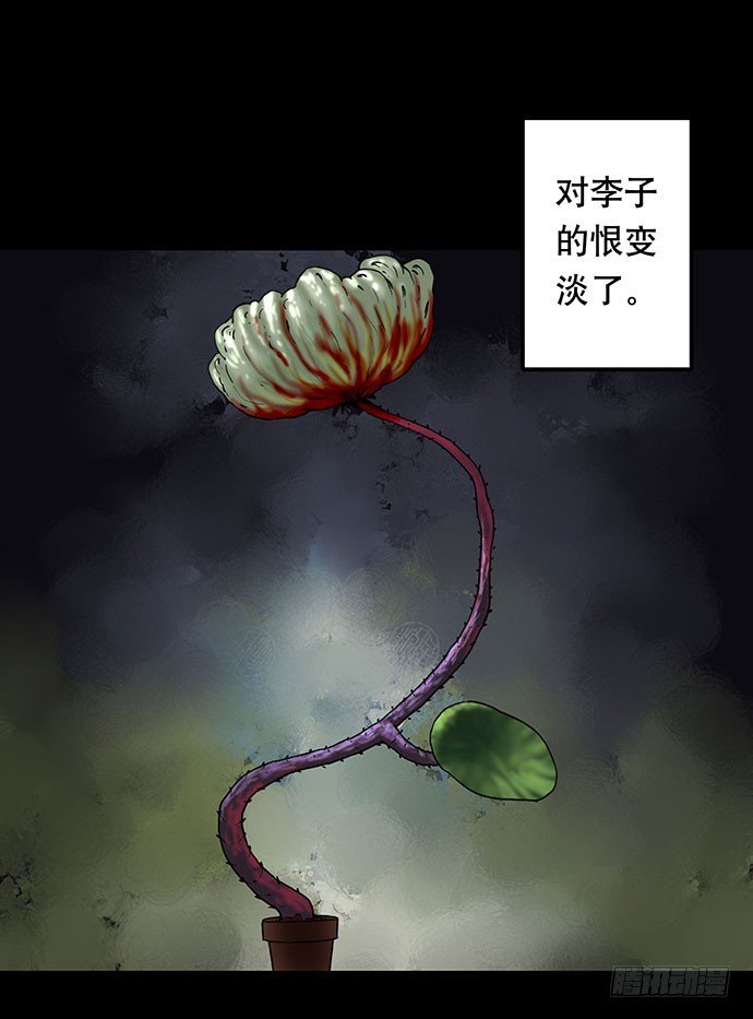 花-3