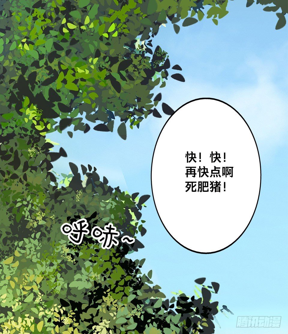 龟-上