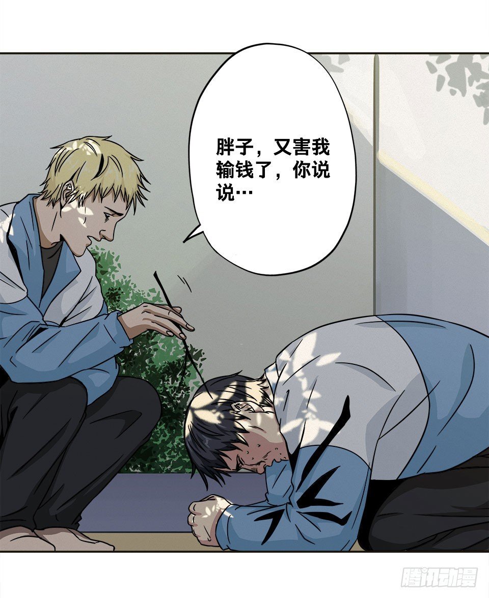 龟-上