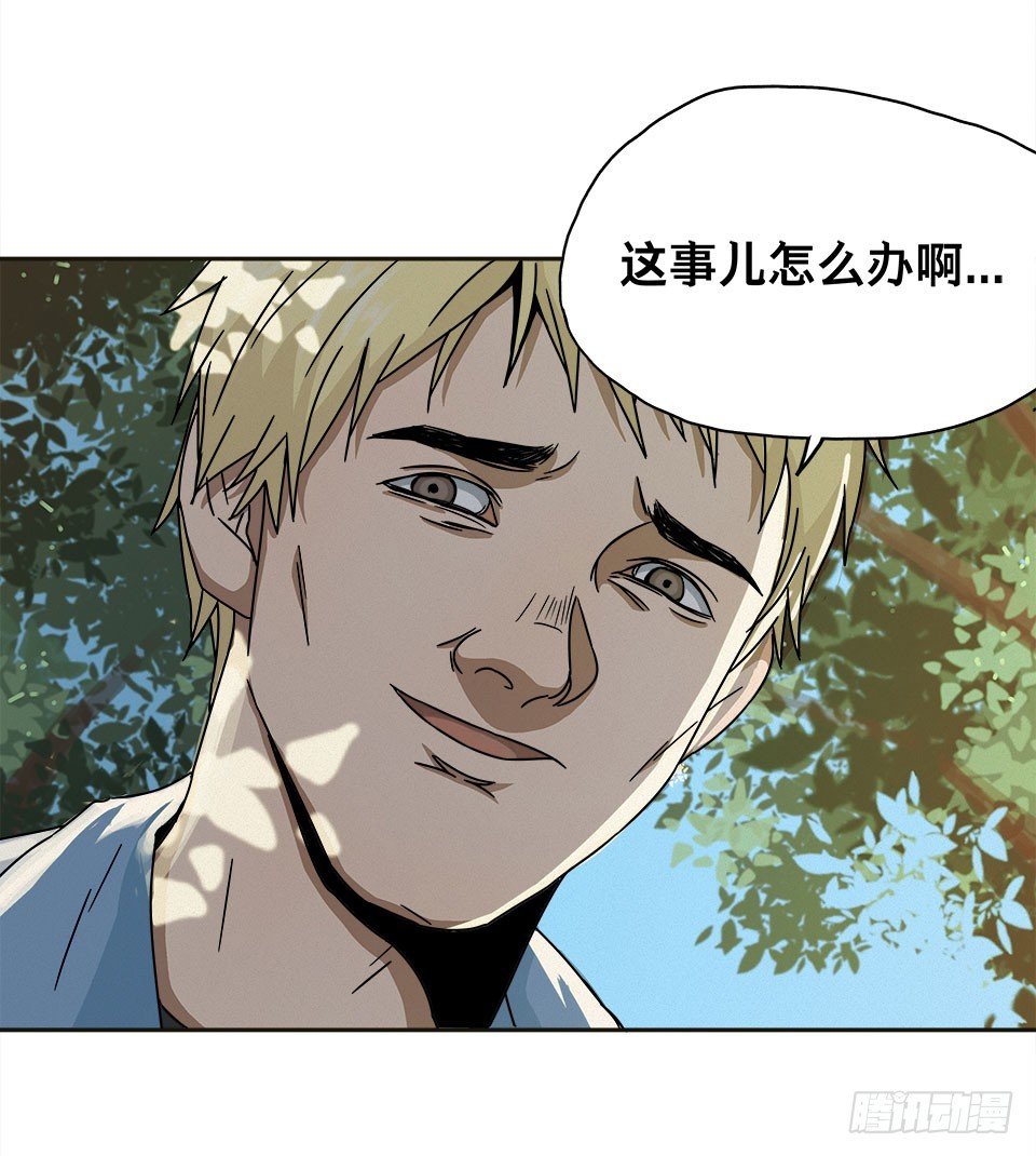 龟-上