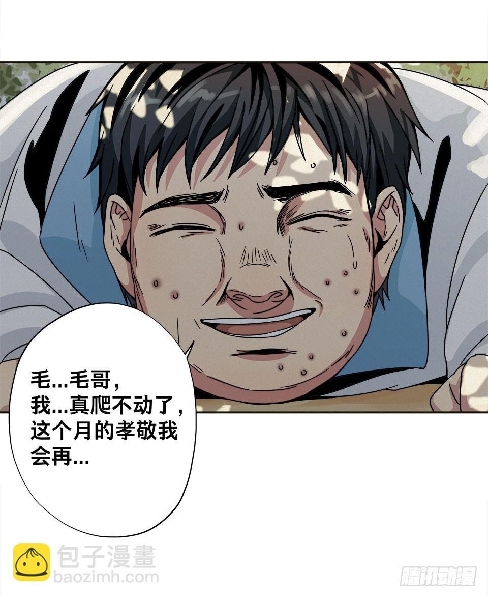 龟-上