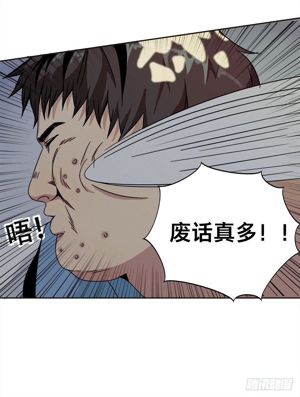 龟-上