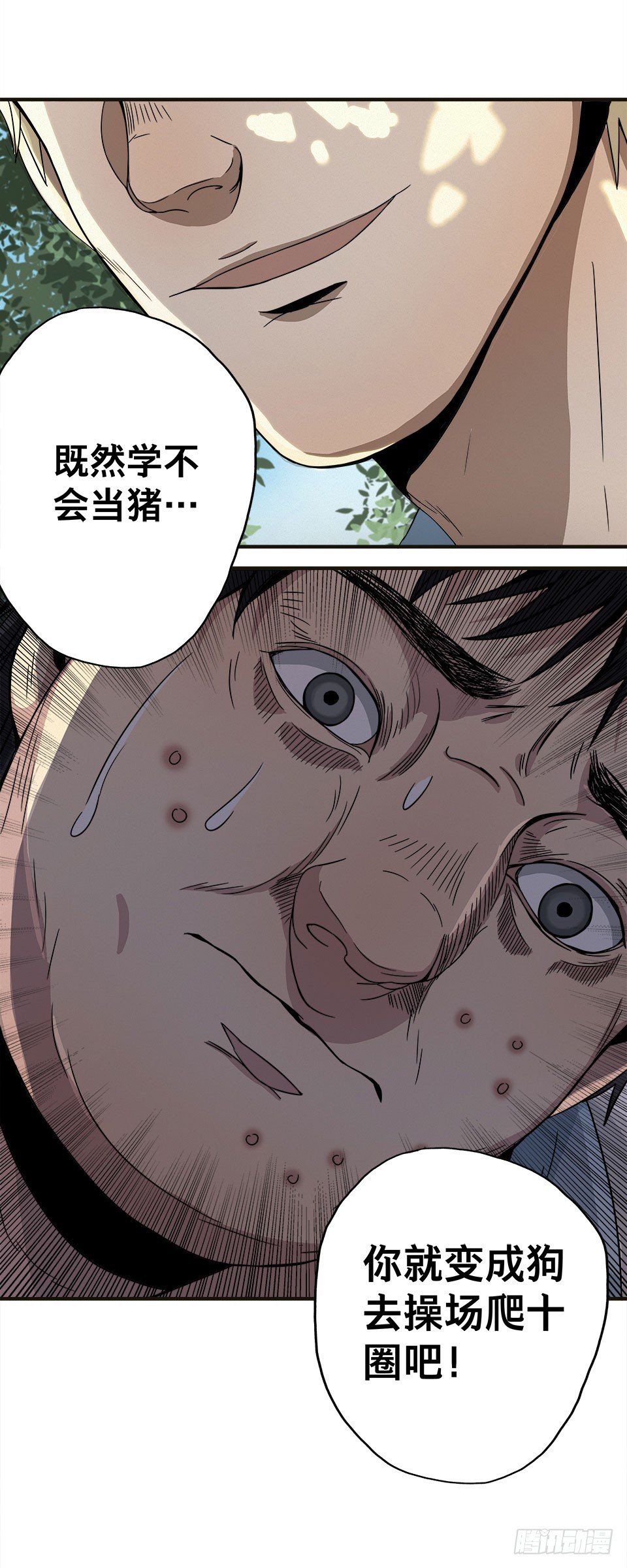龟-上
