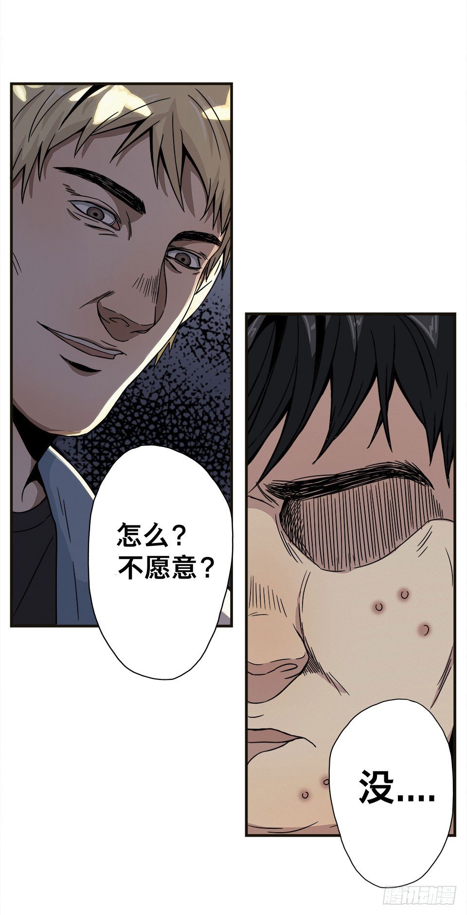 龟-上