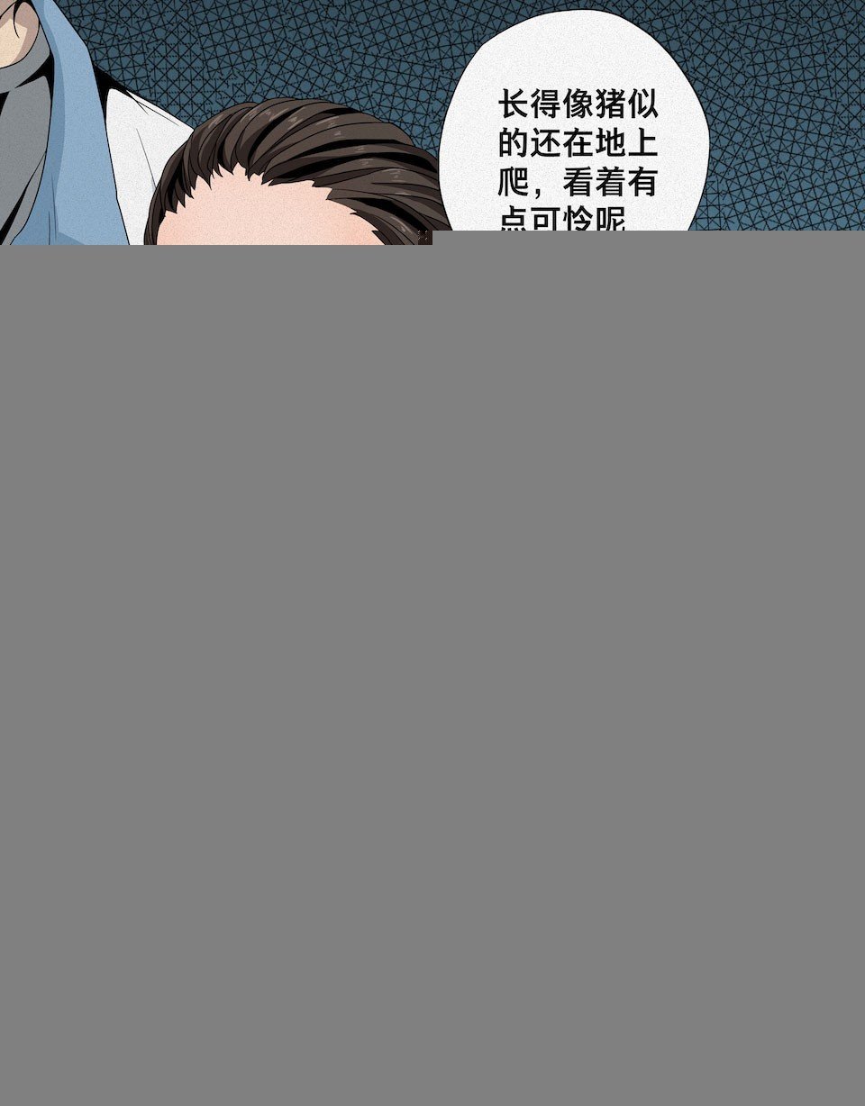龟-上