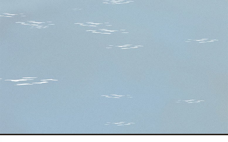 龟-上