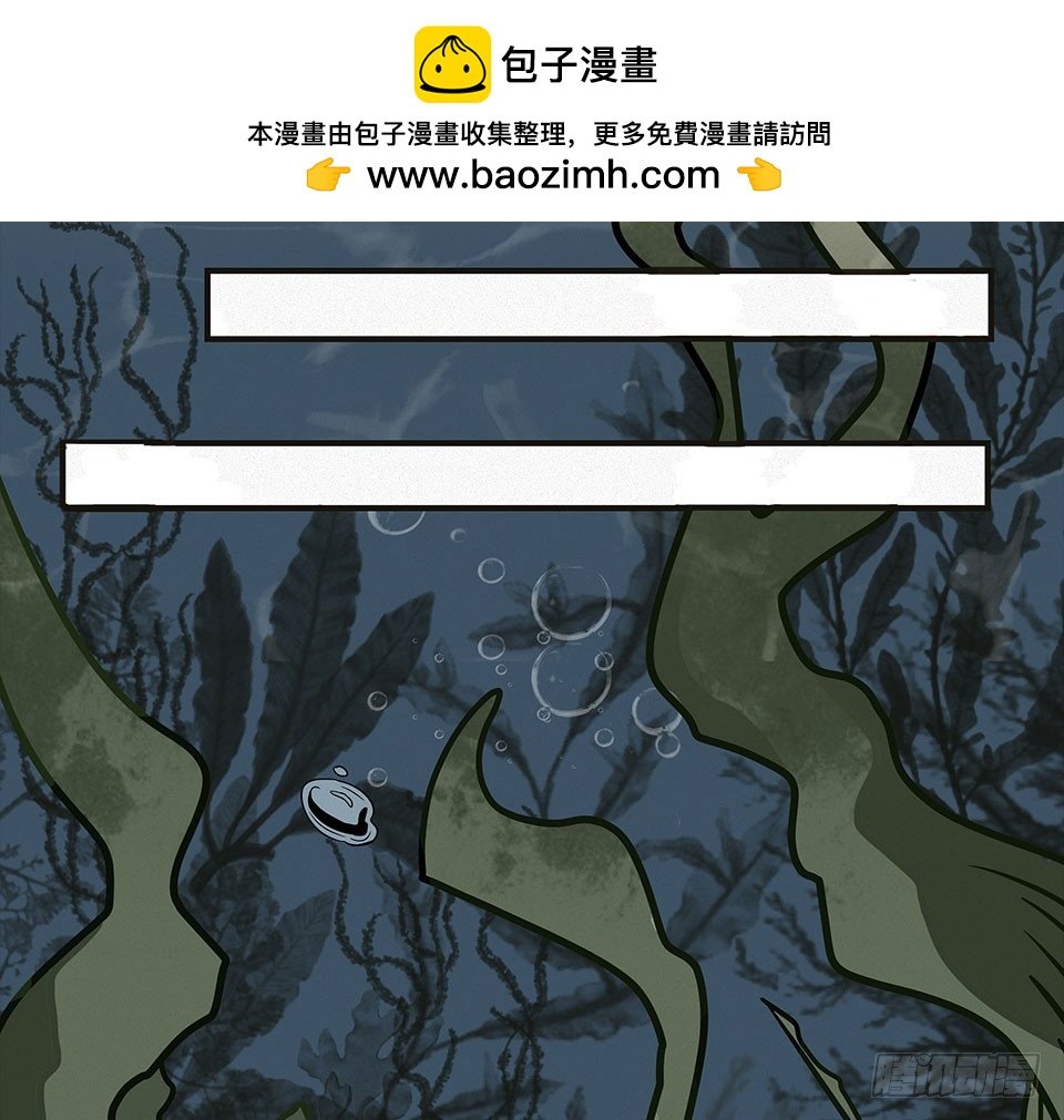 龟-中